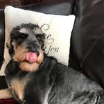 Arlene Galloway - @arlene.galloway - Instagram