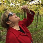 Arlene Devine-Hoffman - @arlenedevinehoffman - Instagram
