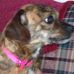 Arlene Hoffman - Facebook