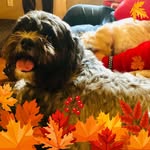 Arlene King - @aking5908 - Instagram