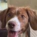 Arlene McCabe - Facebook