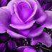 Arlene McClain - Facebook