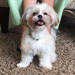 Earlene Mccomas - @earlenemccomas - Instagram