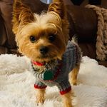 Darlene McElwee - @mcelweedarlene - Instagram