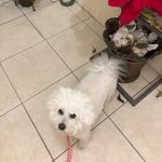 Arlene Mcnulty - @arlene.mcnulty - Instagram