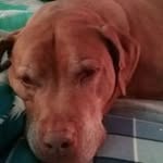 Arlene Meyer - @arlene.meyer.9 - Instagram