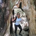 Arlene Meyer - @ava324_ - Instagram