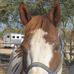 Arlene Meyer - Facebook