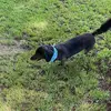 Arlene Morehead - @arlene.morehead - TikTok