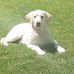 Arlene Natale - Facebook