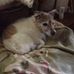 Arlene Olsen - Facebook