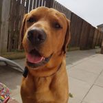 Arlene Reid - @beaniebop73 - Instagram