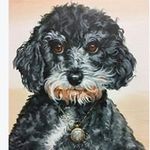 Arlene Reid - @arlenereid7299 - Instagram