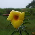 Arlene Nelkorn Schultz - @arleneschultzrn - Instagram