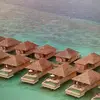 Arlene Schultz - @arlene.schultz - TikTok