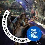 Arlene Feingold Stein - @adls5 - Instagram