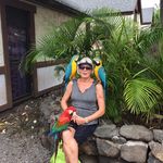 Arlene Stein - @old_nurse58 - Instagram