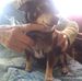 Arlene Townsend - Facebook