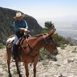 Arlene Walsh - @trlride - Instagram