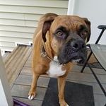 Arlene Walsh - @arlene.walsh.65 - Instagram