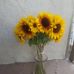 Arlette Smith - Facebook
