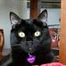 Arlette Smith - Facebook