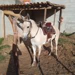 Arlindo Costa Nascimento - @arlindocostanascimento - Instagram
