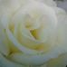Arlene Lynch - Facebook