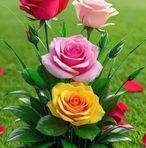 Arlene Morales - Facebook