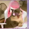 Arline Morales - @arline.morales2 - TikTok