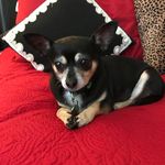 Arlene Murray - @a_murray2009 - Instagram