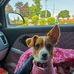 Arlene Murray - Facebook