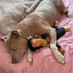 Arlene Skinner - @arlene72105 - Instagram