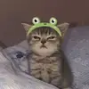 Arlo🤭 - @arloberryave - TikTok