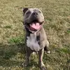 Arlo Blueberry - @arloblueberry - TikTok