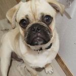 Arlo Nelson - @hello_iamarlo - Instagram