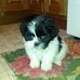 Arlo Schultz - Facebook