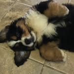 Arlo Schultz - @hi_arlo - Instagram