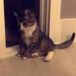 Arlo - @arlo_stone_ - Instagram