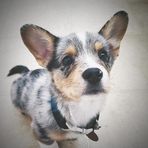 Arlo Stone - Facebook