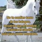 Armando Abad - Facebook