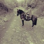 Armando Abarca Camilo - @armandoabarcacamilo - Instagram