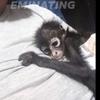 Armando Abarca - @armando.abarca3 - TikTok