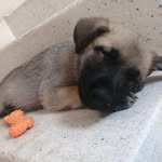 Armando Alanís - @armandolegos_0_0 - Instagram