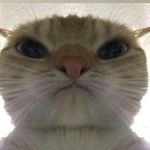 Armando Becerra - @armando.becerra - Instagram