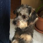 Armando Bedolla - @armandobedolla43 - Instagram