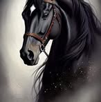 Armando Belman - Facebook