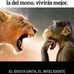 Armando Benitez - Facebook
