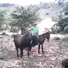 Armando broncas - @armandogodoy69 - TikTok