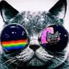 armandocabo4053 - @armandocabo4053 - TikTok